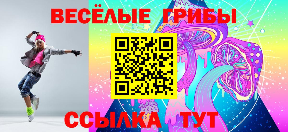 Псилоцибиновые грибы GOLDEN TEACHER Изобильный
